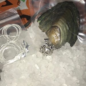 Bow and arrow pearl cage with chain and oyster